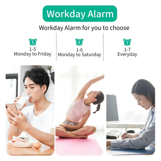 ProView TimeCraft 180° Projections Clock